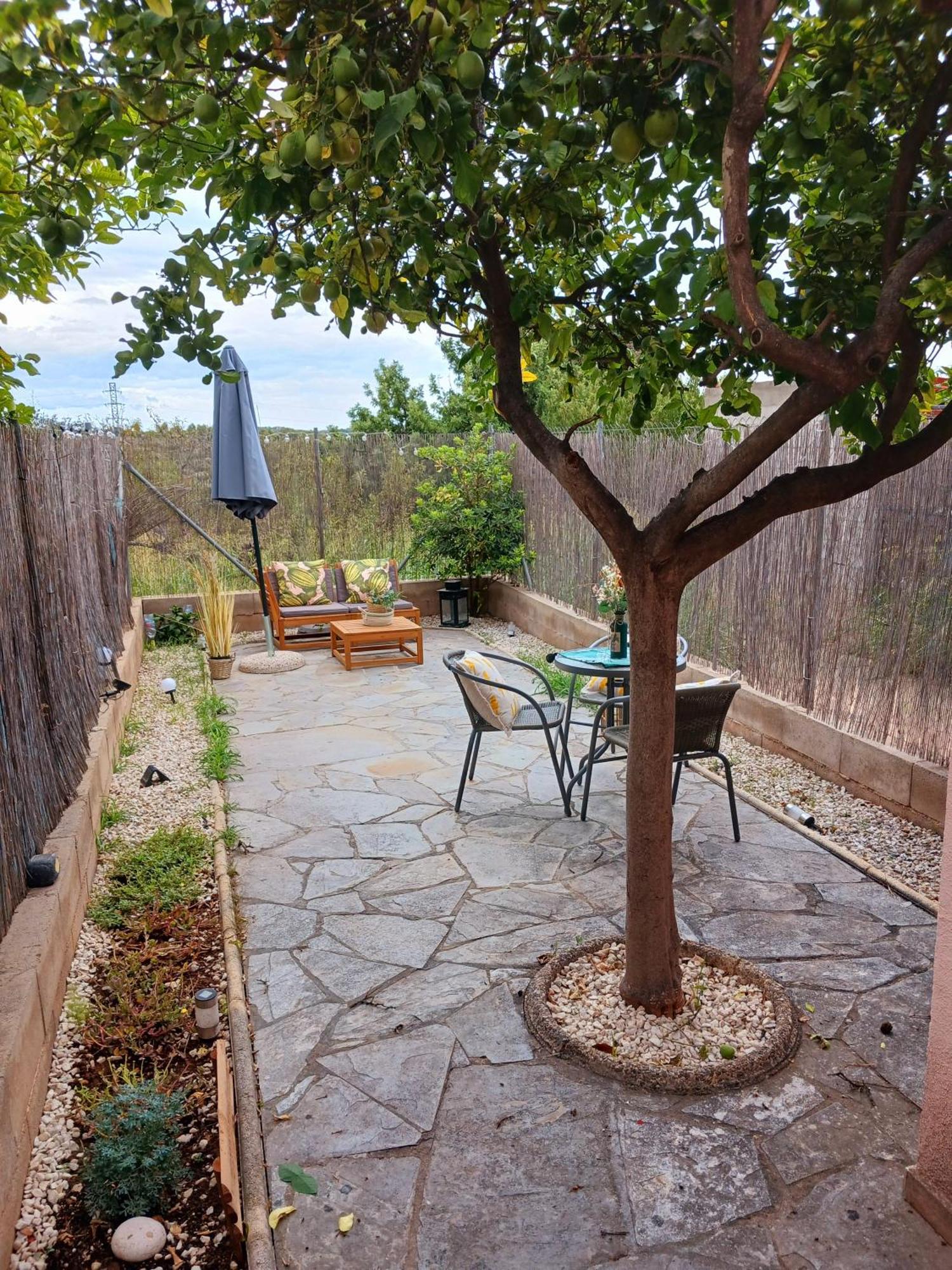 Holiday home El Llimoner